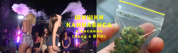 твердый Арсеньев