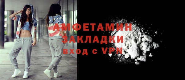 твердый Арсеньев