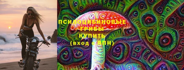 шишки Балабаново