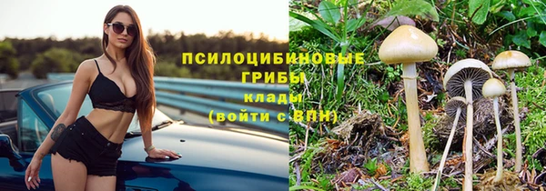 соль ск Аркадак