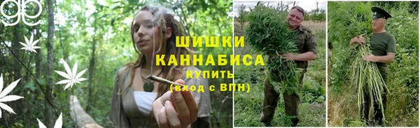 соль ск Аркадак