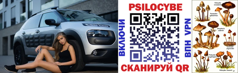 что такое   Снежногорск  Псилоцибиновые грибы мухоморы 