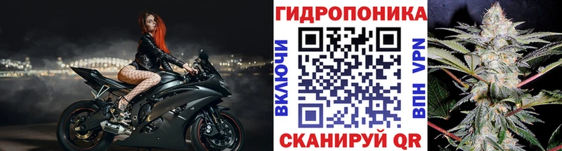 купить   Снежногорск  даркнет официальный сайт  Бошки Шишки White Widow 